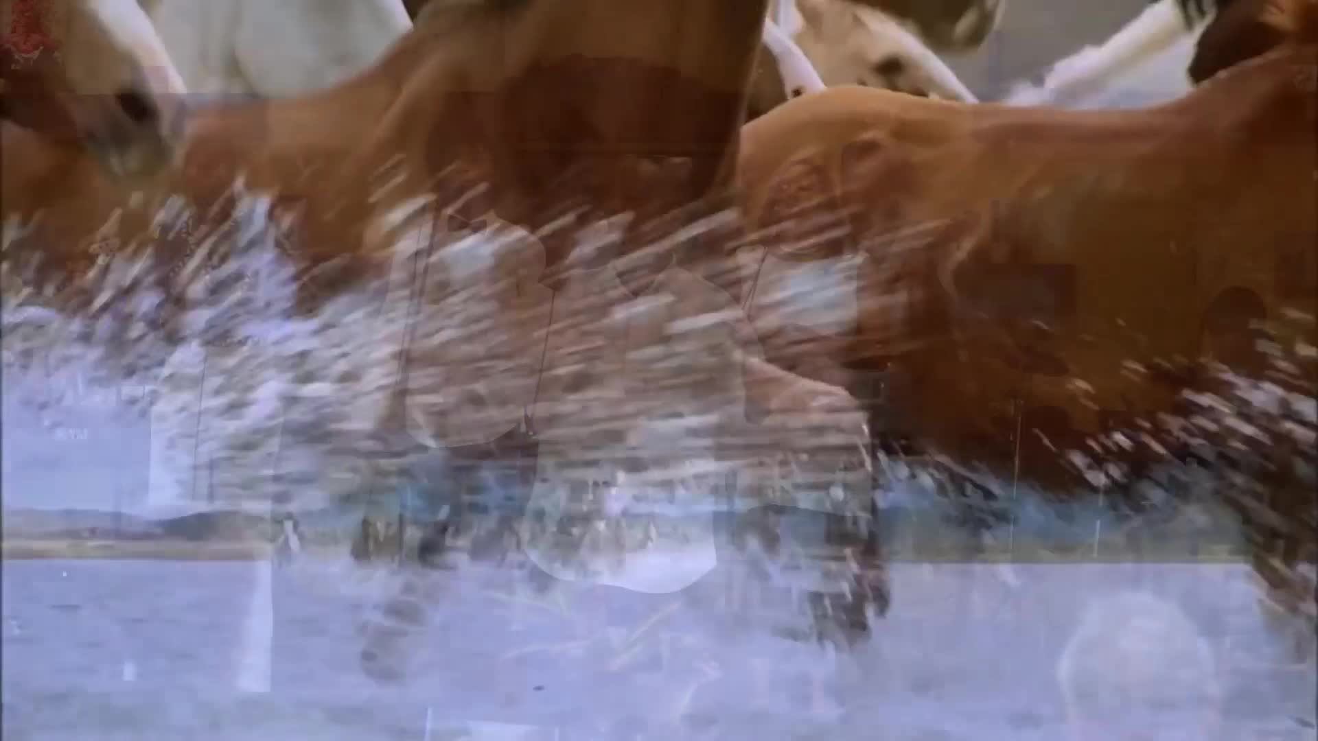 Maurice-1080P
